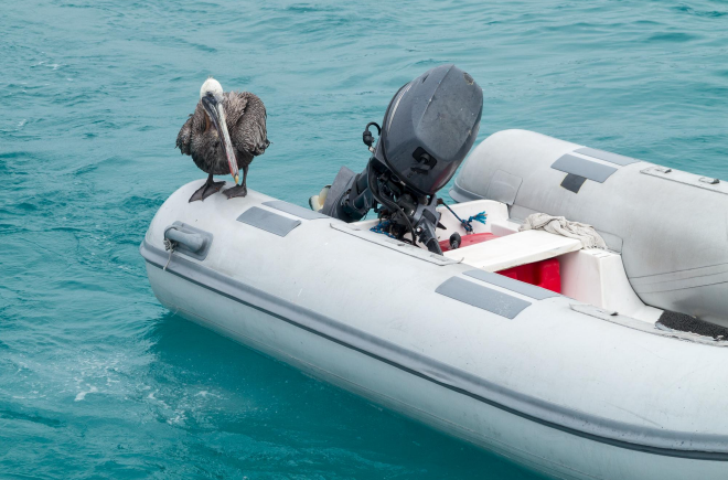 photo-section-660x435px-moteurs image de section représentant un moteur de bateau.