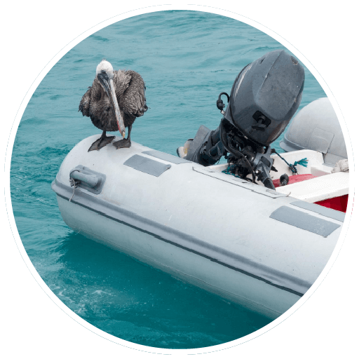 vente-reparation-moteur Une image pour la section vente et installation moteur montrant l'arrière d'un bateau et son moteur